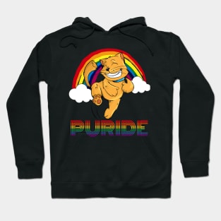 Puride Funny Cat Gay Pride Shirt for LGBTQ Community Hoodie